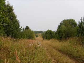Деревня Шабаны. Всё, что осталось (Роман Кобелев)