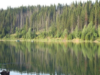 пруд у с.Верхосунье (Александр7606)