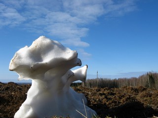 Снежный останец (Дмитрий Зонов)