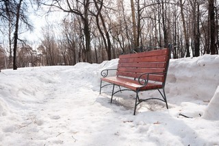 В городском парке (Инна Соколова)