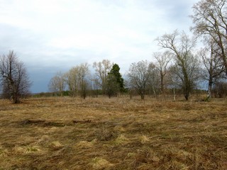 Степанки, вид с востока (Дмитрий Зонов)