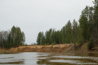 Лумпун/высокий правый берег у Харламовской пристани (Mikhail Buldakov)