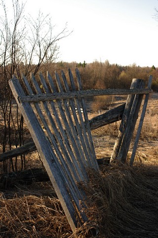 остатки забора (Мартюшев Павел)