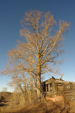 улица (Мартюшев Павел)