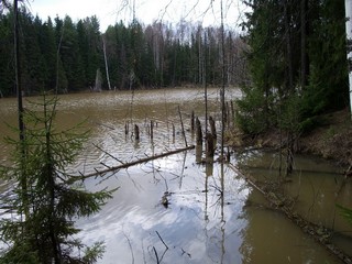 Зяблецы. Пруд. (kuuziku)