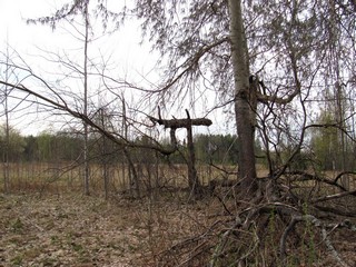 Странный баланс (Дмитрий Зонов)