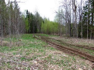 Дорога Долинцы - Максичи (Дмитрий Зонов)