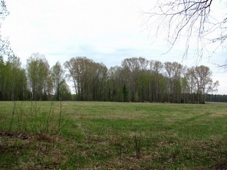 Здесь был починок Максичи (Дмитрий Зонов)