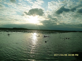 Арыкские луга весной (muklai)