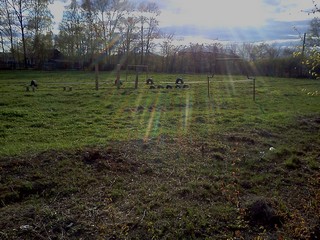 ул. Пролетарская, Стадион школы №1 (Константин Ившин)