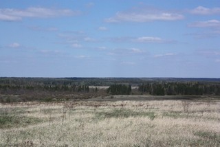 Холмы близ Рубленок (Tur)