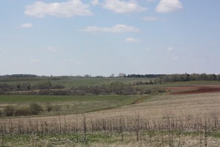 Близ Рубленок (Tur)