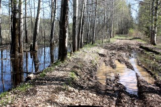 дороги поломников (Tur)
