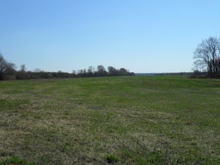 Луга у реки Чепца (май 2011) (Александр Ложкин)