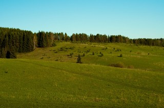 Холмистый луг (Anton Polozov)