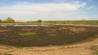 отстойник (Айрат Валитов)