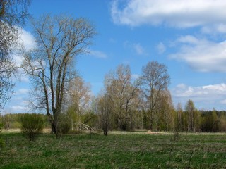 Б/д Перехватовы, западная часть. (Дмитрий Зонов)