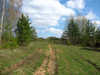 Дорога к б/д Сырчины (Дмитрий Зонов)