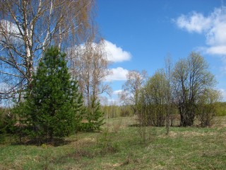 Б/д Перехватовы. май (Дмитрий Зонов)