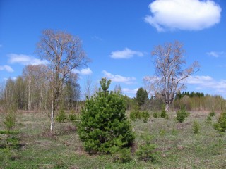 Перехватовы, восточная часть (Дмитрий Зонов)
