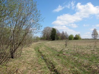 Дорога к б/д Сырчины (Дмитрий Зонов)