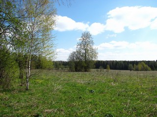 У б/д Сырчины (Дмитрий Зонов)