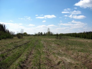 Дорога к Сырчиным (Дмитрий Зонов)