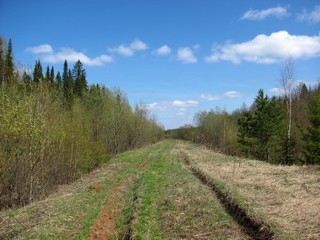 Дамба на дороге Сырчины - Охапкины (Дмитрий Зонов)