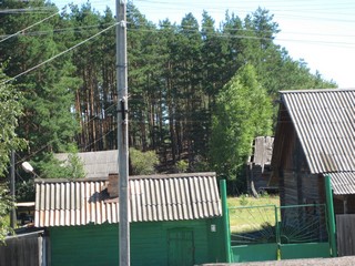 соновый бор (Lobanov Dmitriy)