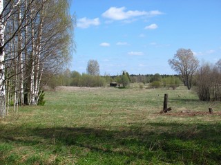 Остатки домов в Анкушино (Дмитрий Зонов)