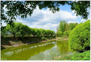 Ивы у пруда. (Rusinoff)