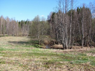 Река Гориниха (Дмитрий Зонов)