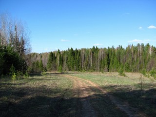 Дорога Фомичи - Ларинцы (Дмитрий Зонов)