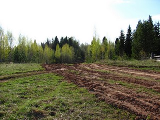 Дорога Тиминцы - Загарье (Дмитрий Зонов)