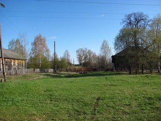 В д.Тиминцы (Дмитрий Зонов)