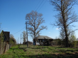 Южная часть д.Тиминцы (Дмитрий Зонов)