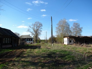 Тиминцы (Дмитрий Зонов)