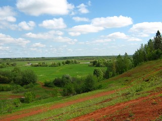 Заливные луга, после разлива (Дмитрий Зонов)