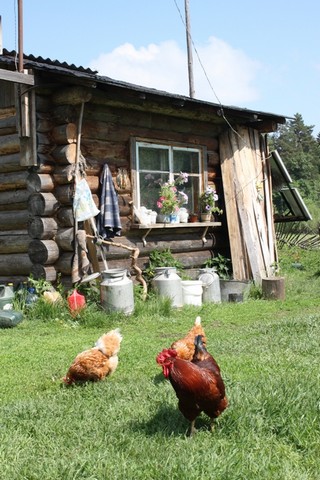 Домик Егеря (Tur)