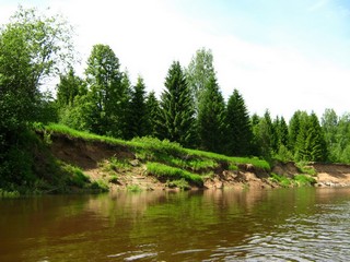 Ели на берегу (Дмитрий Зонов)