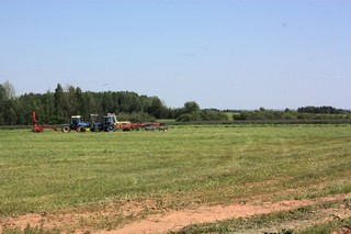 сенокос (Tur)