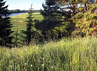 кай кама (Денис Логиновский (denlog))