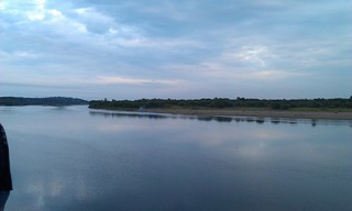 Вятка (SLY-FOX)