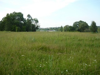 За Тоймой Тихоново-Пустобаево. (Вадим Качалков)
