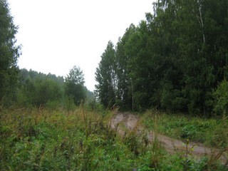 Дорога к кладбищу (Lex67)