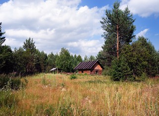 Лесная заимка (Денис Логиновский (denlog))