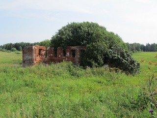 Бывшая деревня Петровщина (Александр Печеницын)