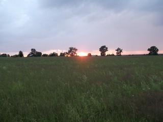 Закат в Дубровке (Largo Rat)