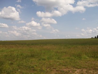 Поле в Дубровке (Largo Rat)