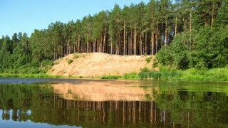 Обнажение у соснового бора (Дмитрий Зонов)